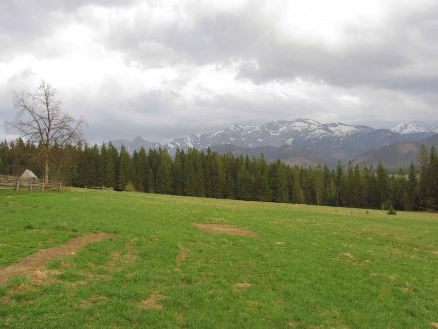 Tatry z Płazówki.