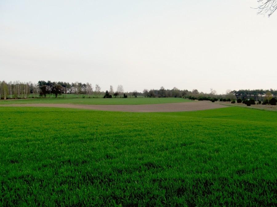 PKWŁ - Okolice Poćwiardówki