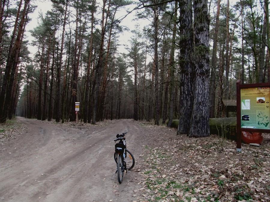 PKWŁ - Uroczysko Poćwiardówka