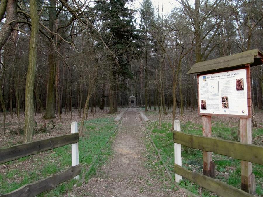 PKWŁ - Poćwiardówka cmentarz