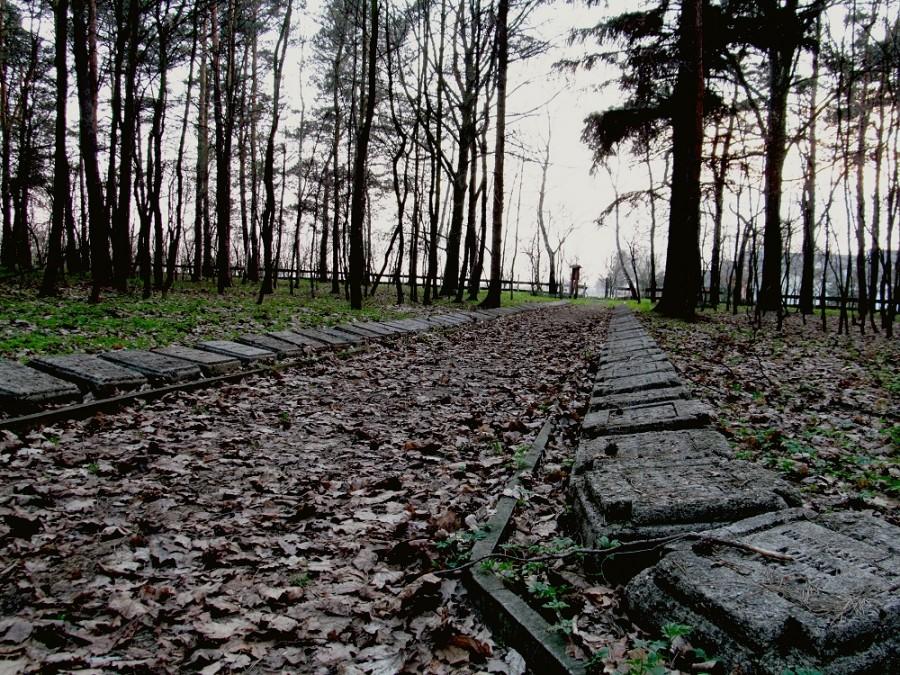 PKWŁ - Poćwiardówka cmentarz