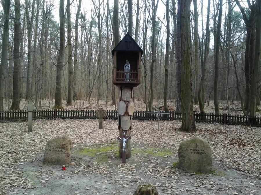 cmentarz z 1915 r. w rezerwacie Biele Chojnowskie