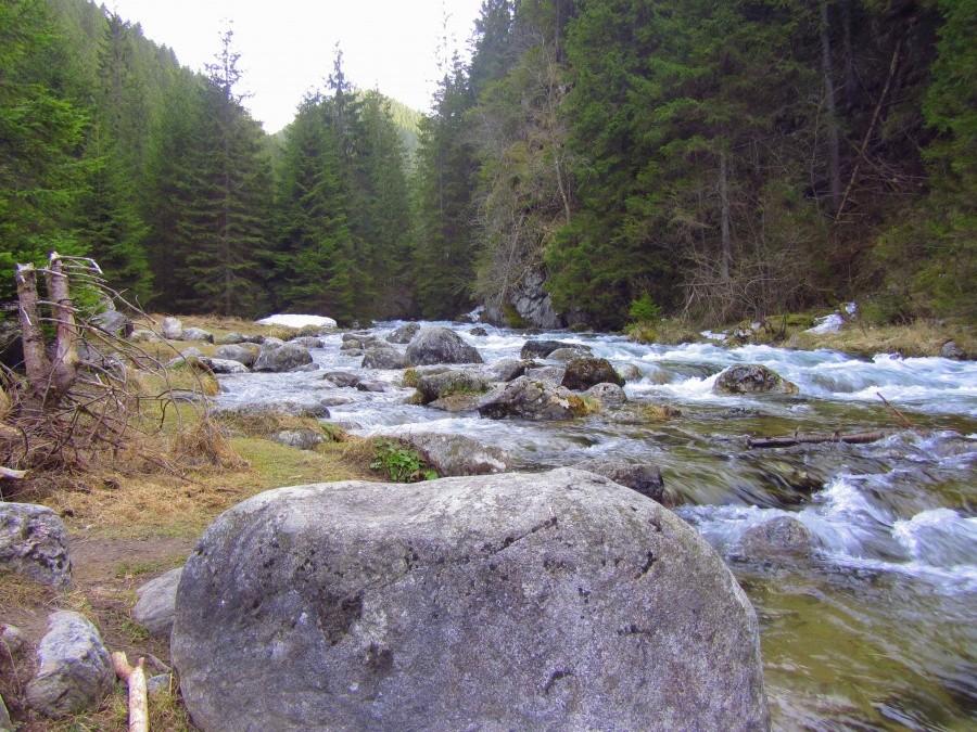 Siwa Woda w Chochołowskiej I.