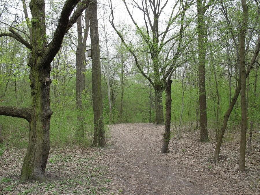 Park przy Alei Kasztanowej