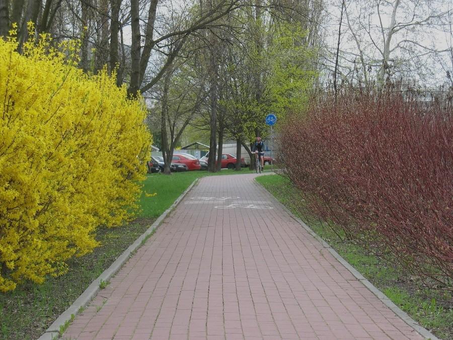 Żółto – czerwona DDR