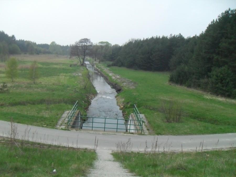 dzika rzeka