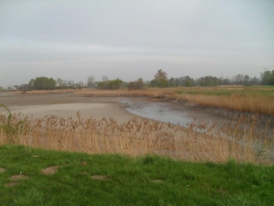 ukradli wodę rybką w kopcu