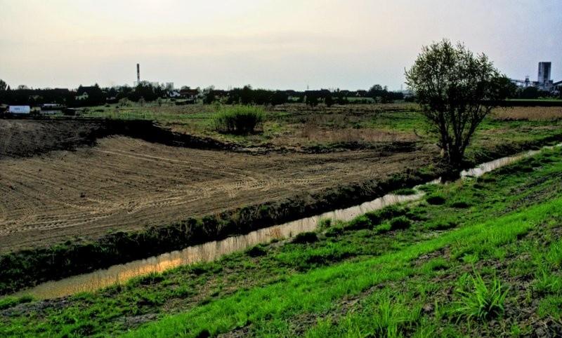 Widok na Halembę