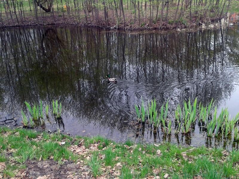 Pierwsze oznaki wiosny.