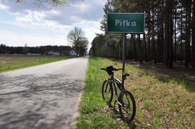 w Puszczy Noteckiej...