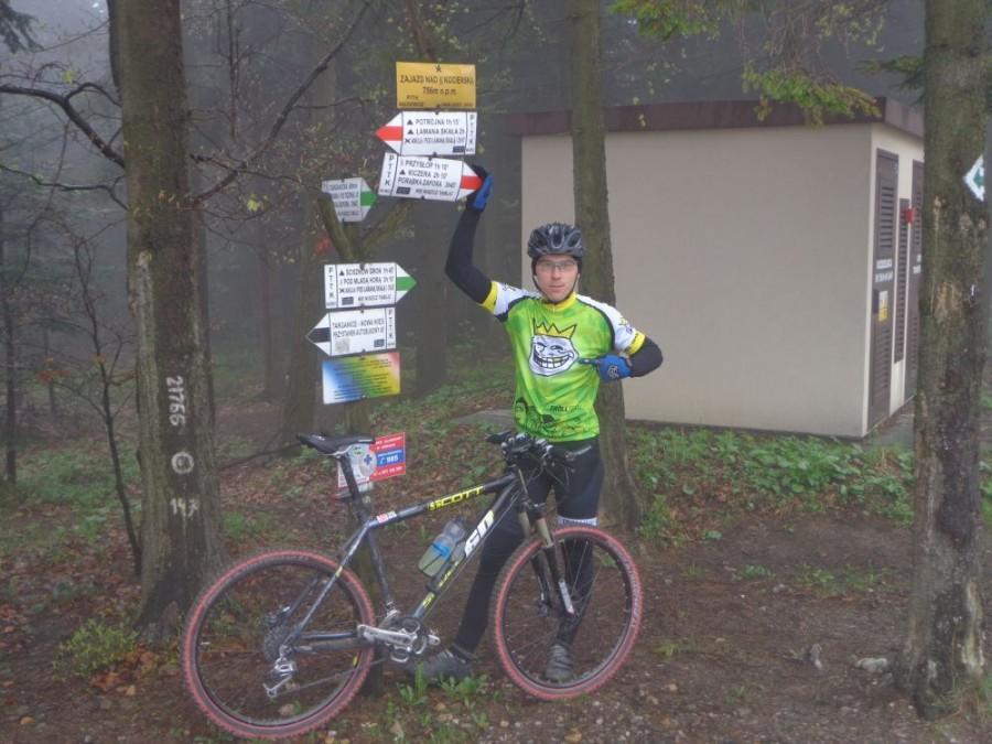 Trollek na przełeczy Kocierz 756 m.n.p.m.