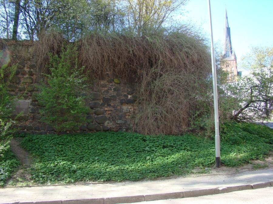 Wg. książki "Tajemnice Szczecina " wycieczka nr.2 . 013