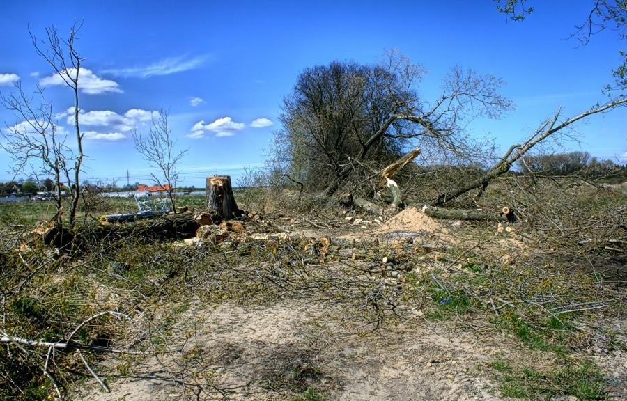 przeszkoda na drodze