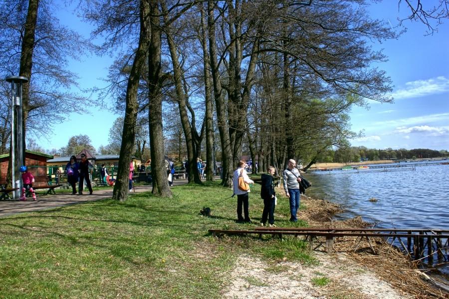 tłoczno dziś nad Miedwiem