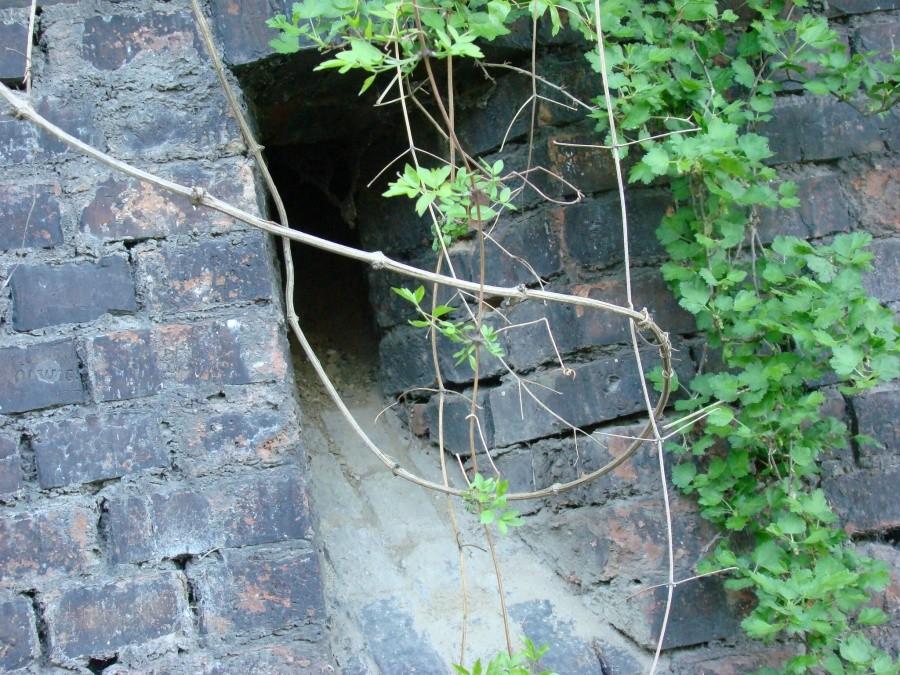 Wg. książki "Tajemnice Szczecina " wycieczka nr.2 . 062
