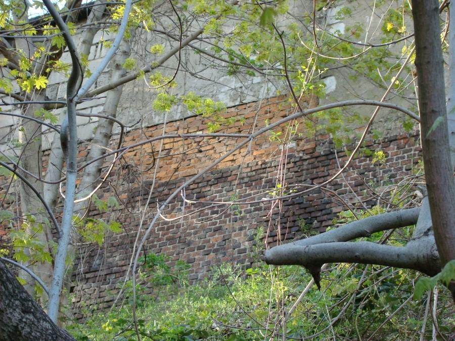 Wg. książki "Tajemnice Szczecina " wycieczka nr.2 . 068