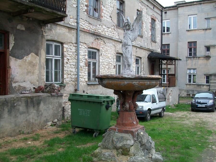 anielica i lyon (lew) w pewnym podwórku na 7 kamienic