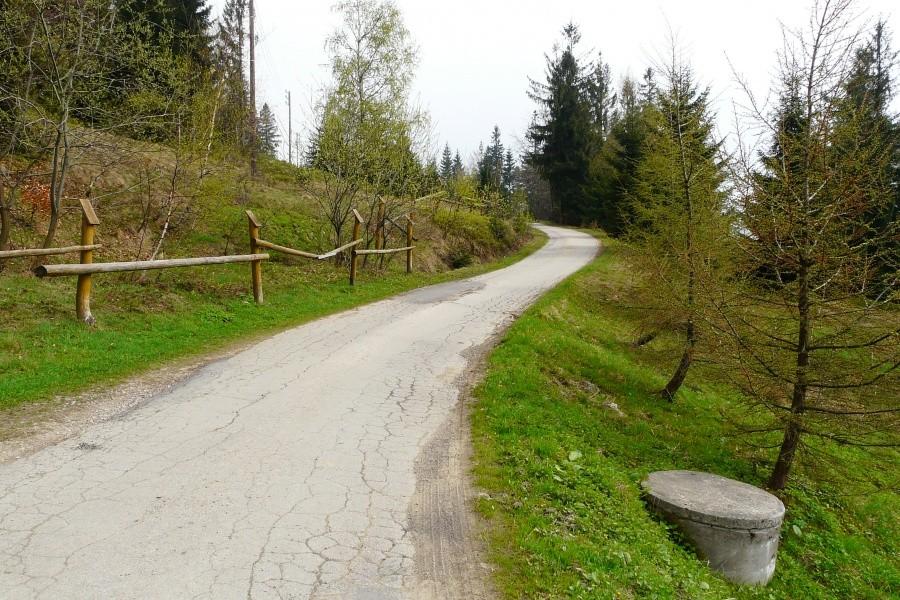 Podjazd na Magurkę Wilkowicką.