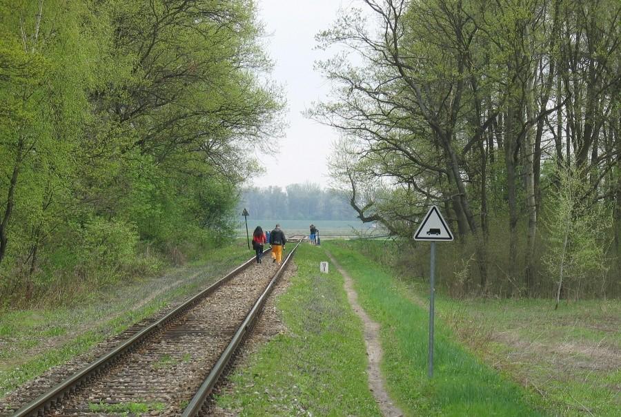 Tory w Okrzeszynie