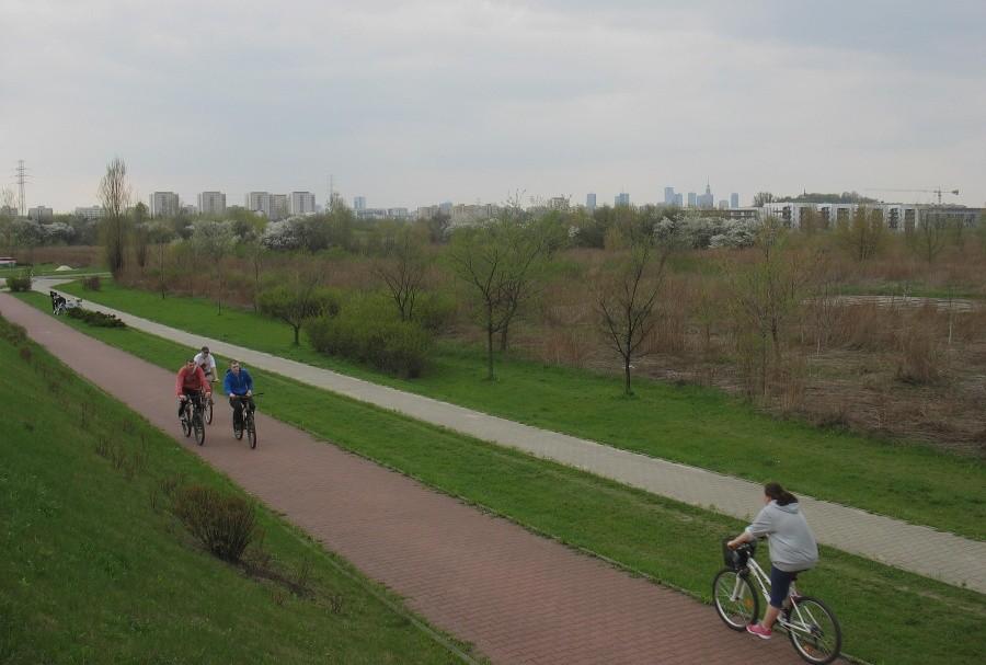 Ścieżka rowerowa przy Trasie Siekierkowskiej
