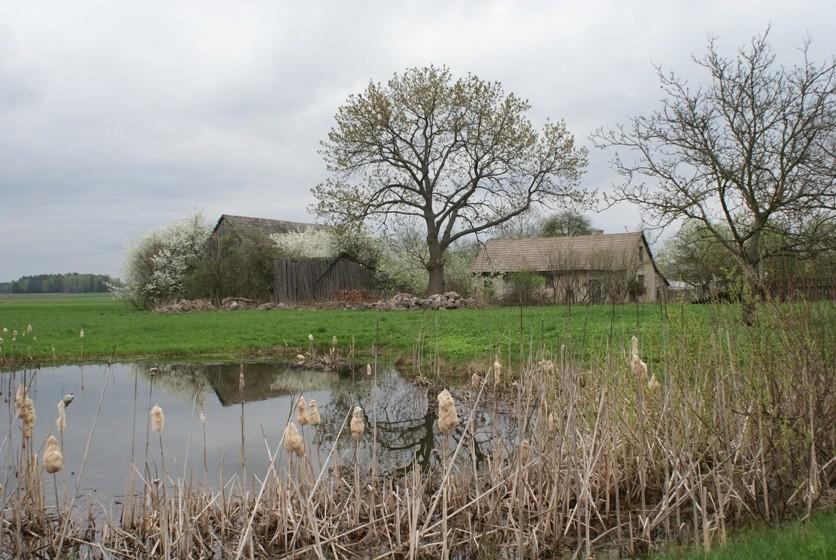 wieś Zajączków