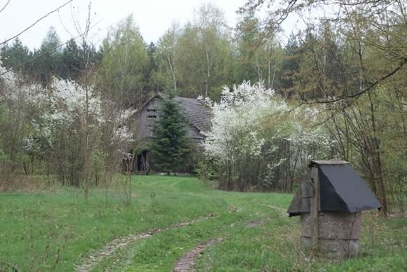 wiejskie klimaty