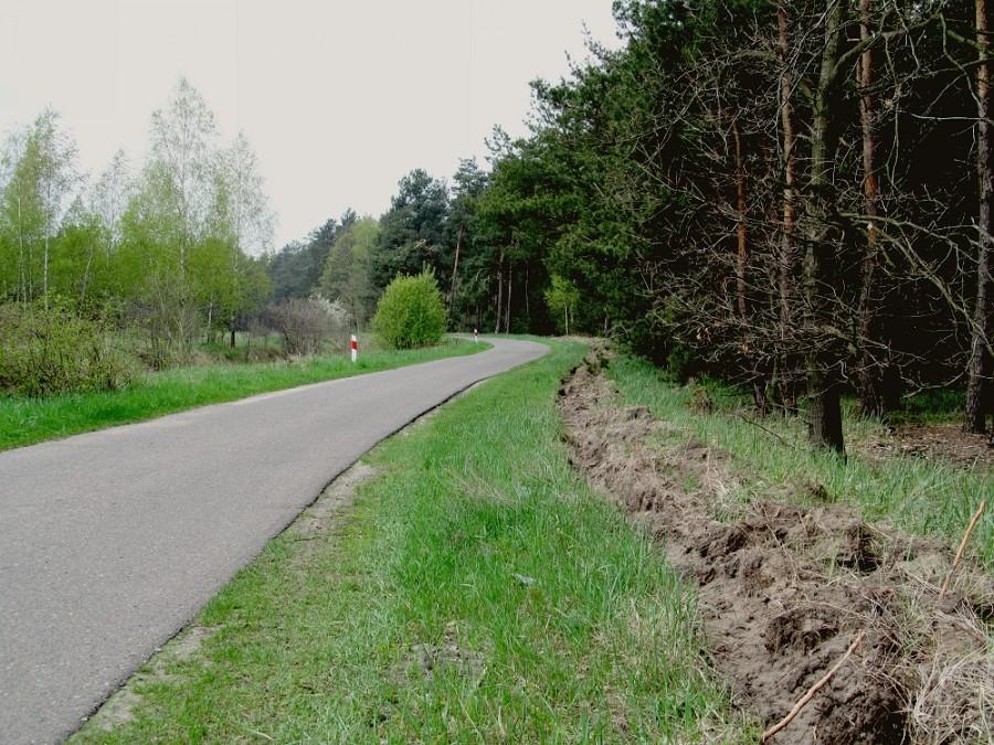 Droga taka jakie lubei