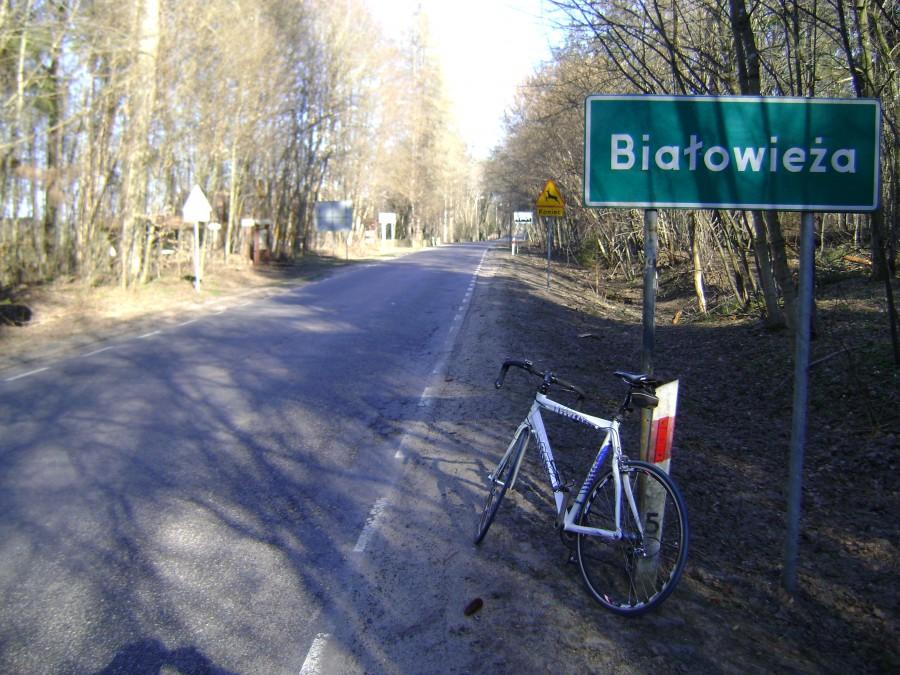 W Białowieży