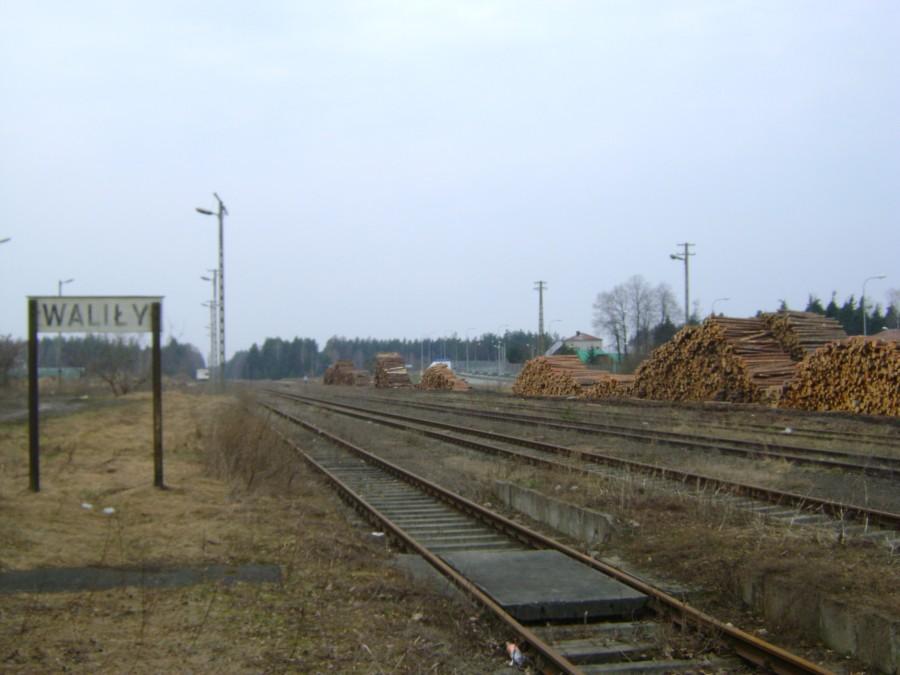 Stacja kolejowa Waliły