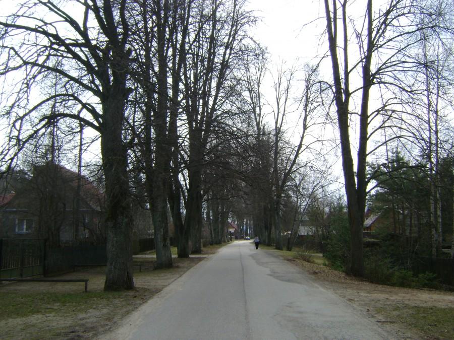 Królowy Most