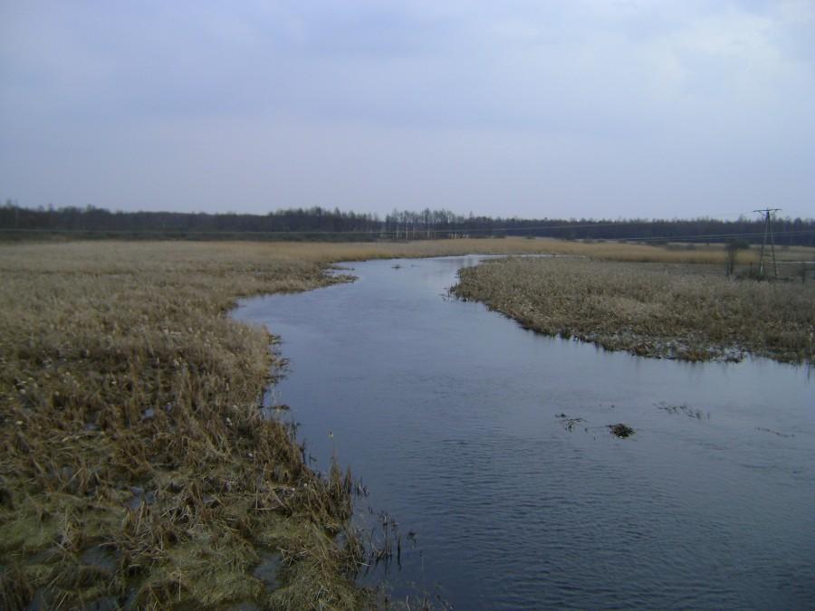 Biebrza