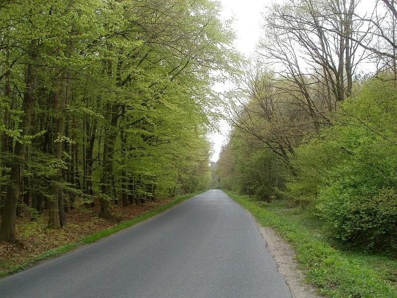 wiosennie na drodze z Gniezna do Czerniejewa