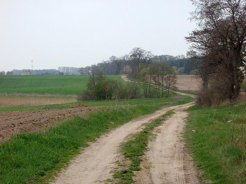 polna droga z Podarzewa do Głębokiego