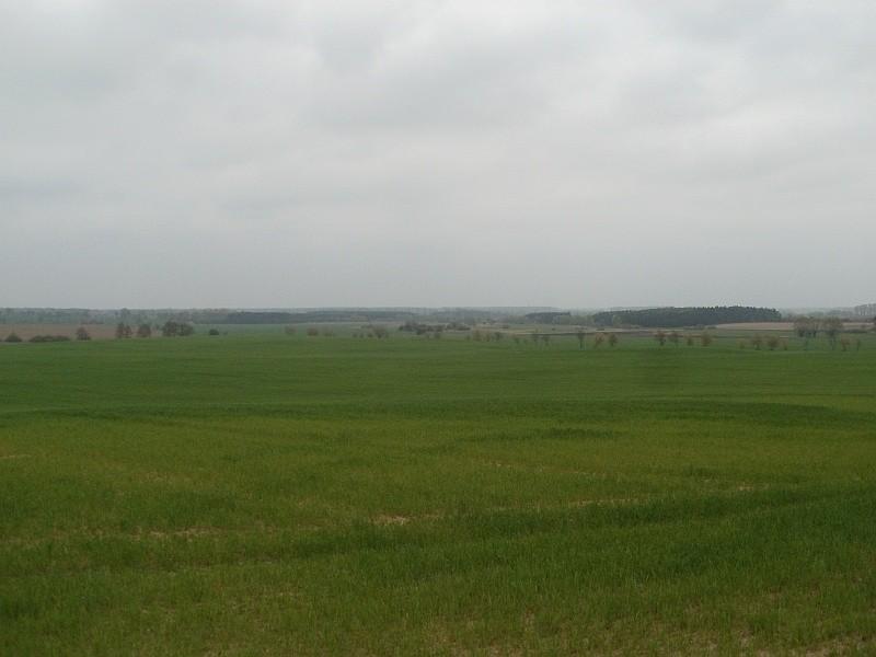 widok z górki niedaleko Kiszkowa
