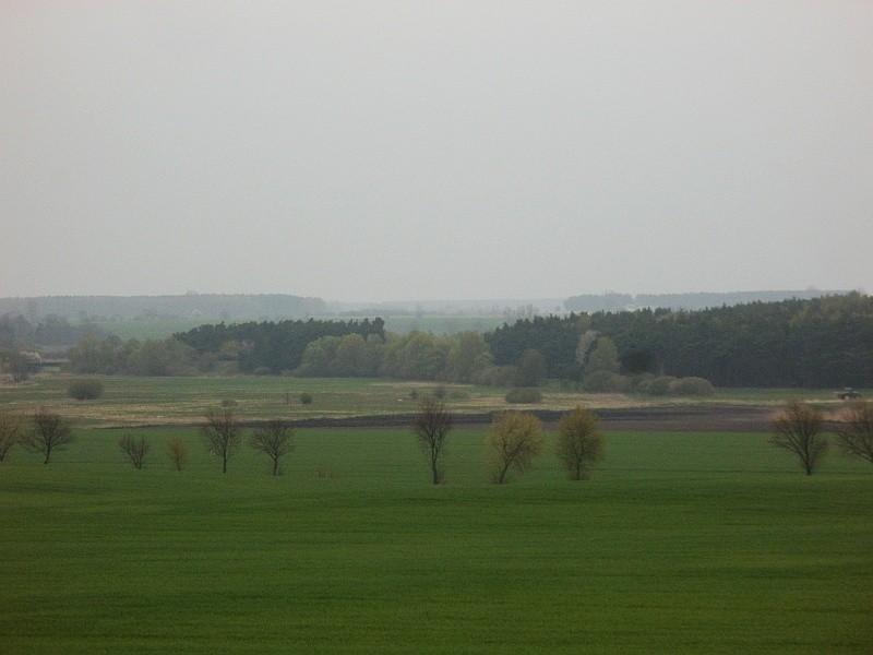 małe zbliżenie