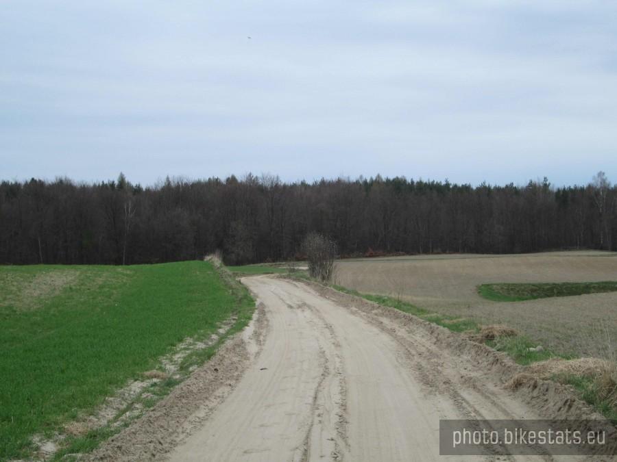 Na skróty...