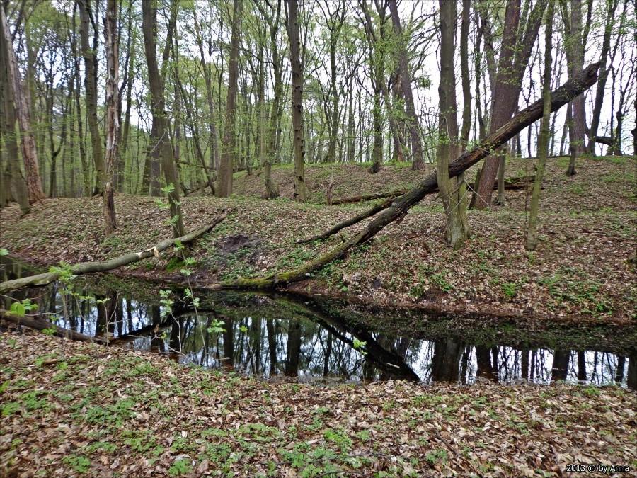 Gród Zamczysko, otoczony fosą :P