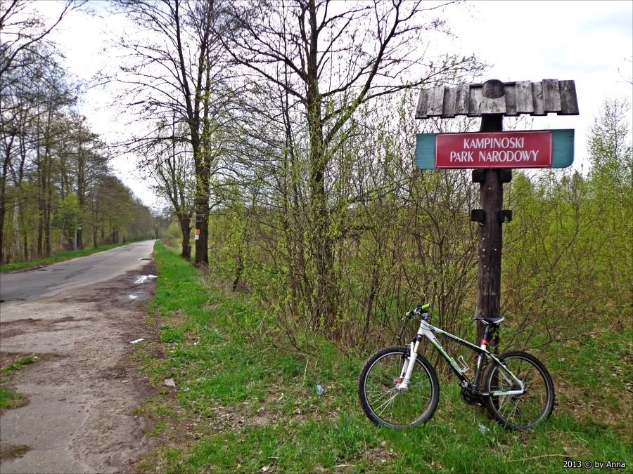 Puszcza Kampinoska