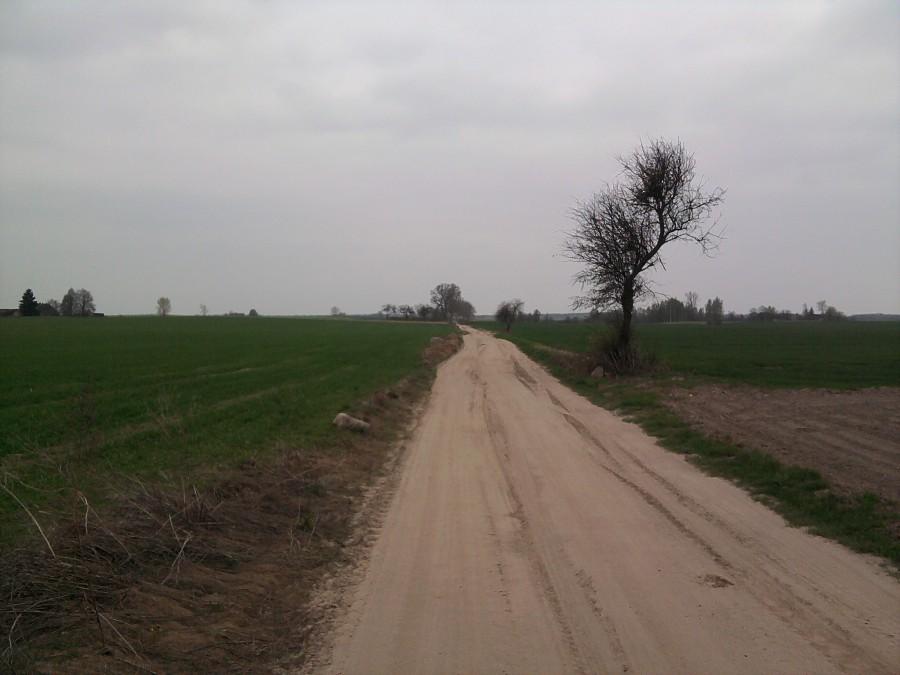 Na żółtym pieszym szlaku (o ile go gdzieś ktoś dostrzeże) z Zabartowa do ... (to zależy gdzie się skręci:)