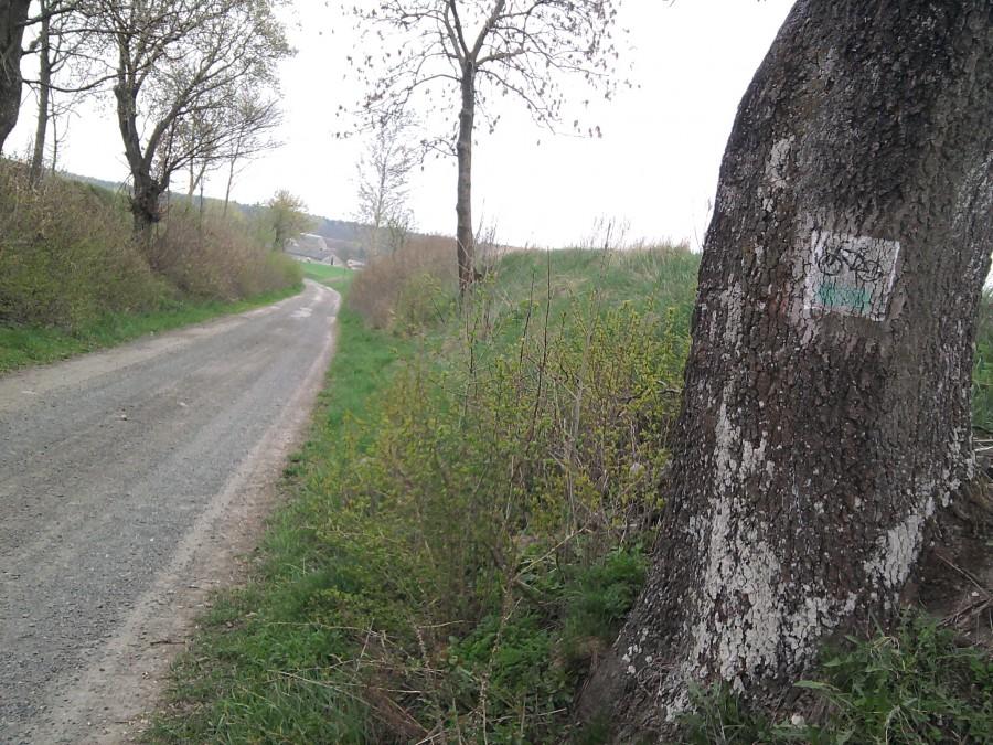 W tym miejscu chyba powinien pomknąć w dół a wybrałem inny kierunek