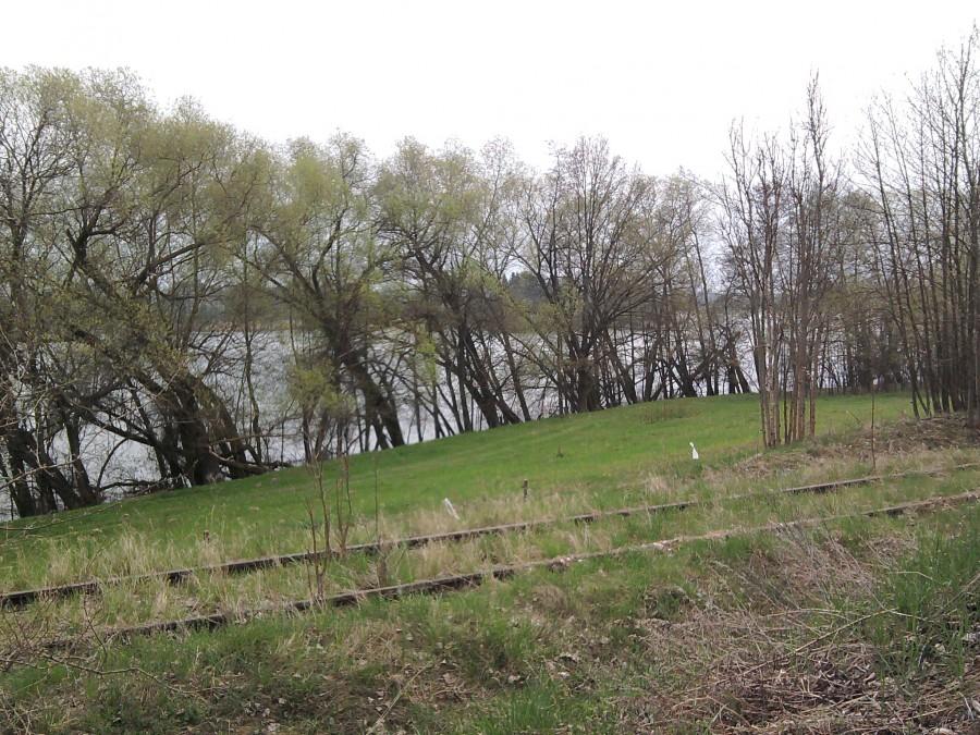 Męczarnie na szlaku "Rezerwatów Krajeńskich" (znaków brak) w piachu wynagradzają widoki