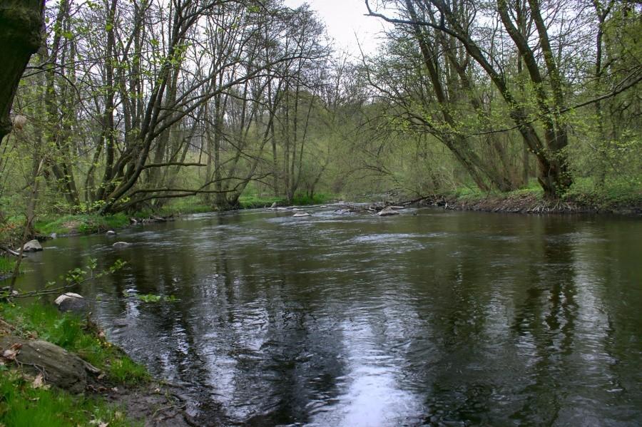 w Dolinie Krąpieli