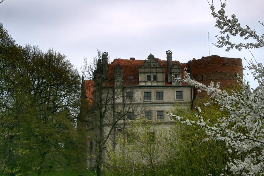 zamek w Pęzinie