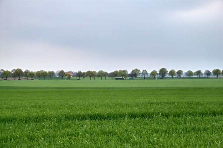 w oddali DK nr 10 widoczna