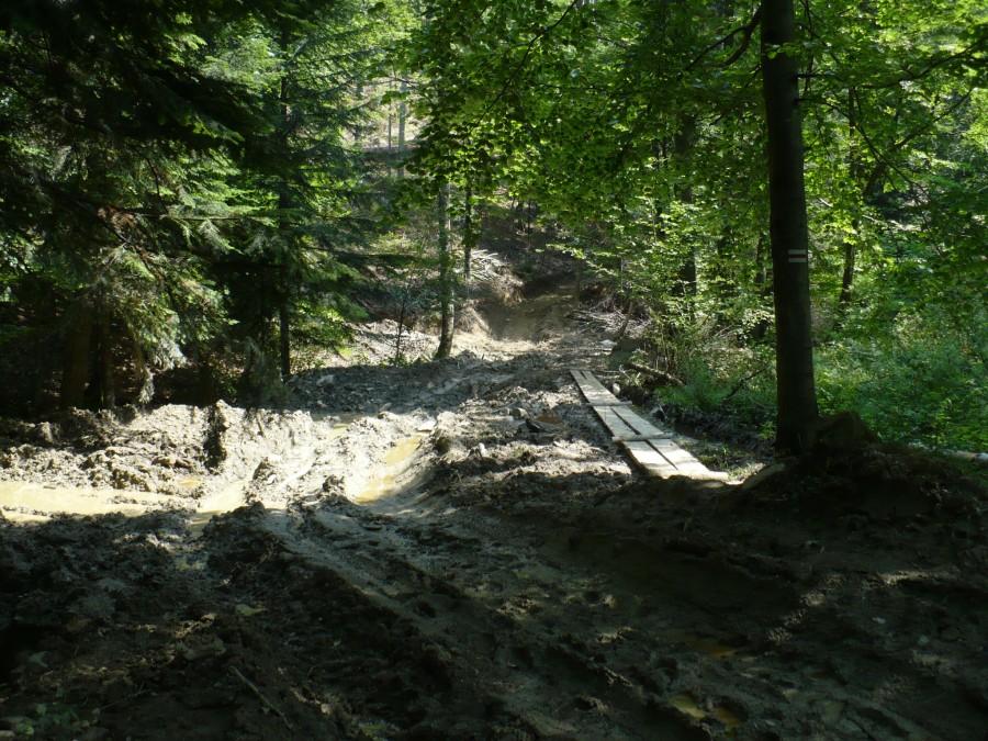 Trasa na Jeziorka Duszatyńskie