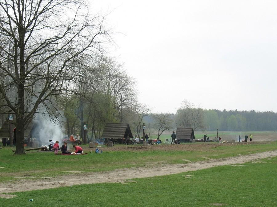 Las Kabacki – 2 maja było luźniej