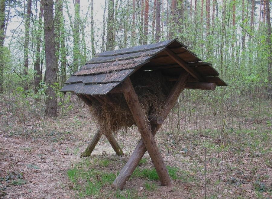 Paśnik jest pełny