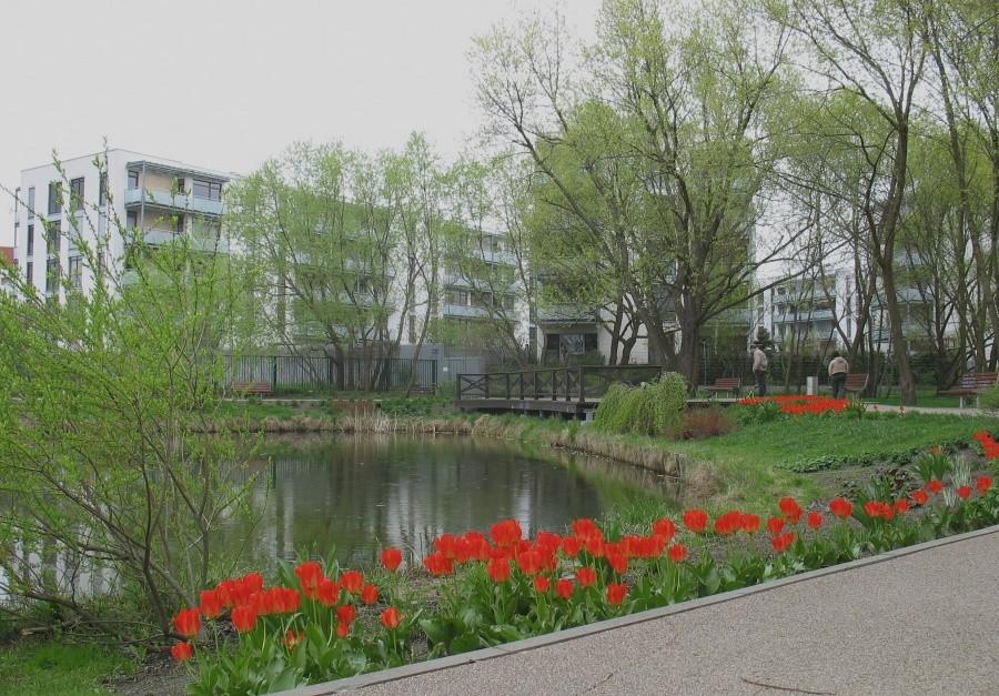Park Moczydełko