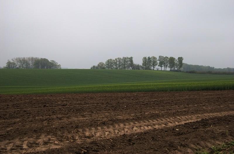 Pola koło Osieka