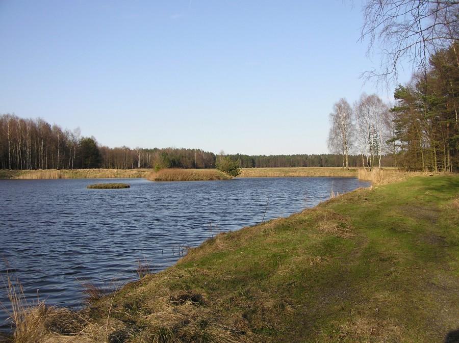 Hamerla wczesną wiosną.